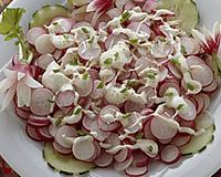 Radis roses en salade