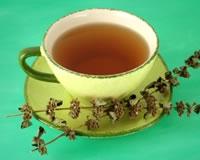 Tisane digestive