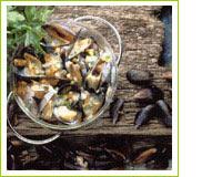 Moules sauce poulette